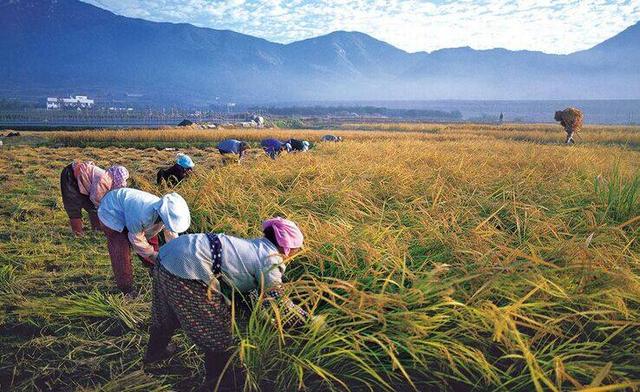 ���װ�ȫ�¼��l�����������ҵ�ˮ���s��ȫ����Դ����Դ�^�ѿ�Ʒ�|(zh��)