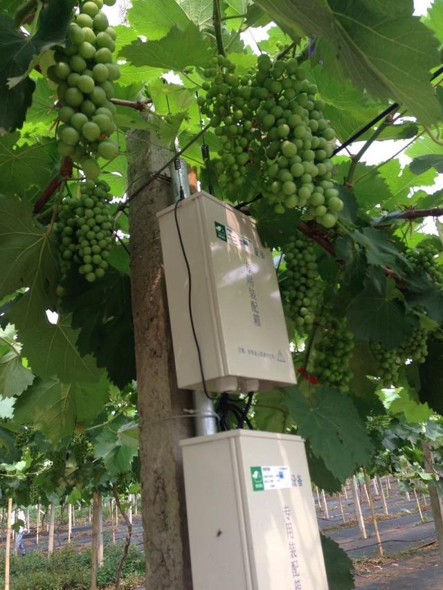 �ďU���ķ�֮�������ш@����Ҳ�ܞ���I(y��)���^����(y��ng)��(y��u)�|(zh��)���(y��ng)��õ��