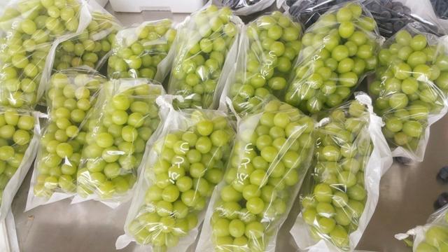 �ďU���ķ�֮�������ш@����Ҳ�ܞ���I(y��)���^����(y��ng)��(y��u)�|(zh��)���(y��ng)��õ��