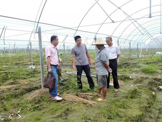 �ďU���ķ�֮�������ш@����Ҳ�ܞ���I(y��)���^����(y��ng)��(y��u)�|(zh��)���(y��ng)��õ��