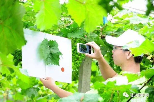 ���C(j��)���������Y���r(n��ng)���T�����ѹܼҞ��九(ji��)�s����(w��)�M(f��i)��15�f