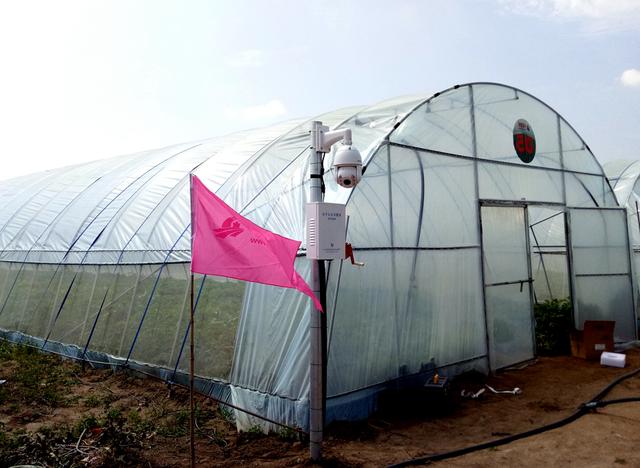 �Ї����W(w��ng)�y���읙�������_���R����N�����ܷNֲ