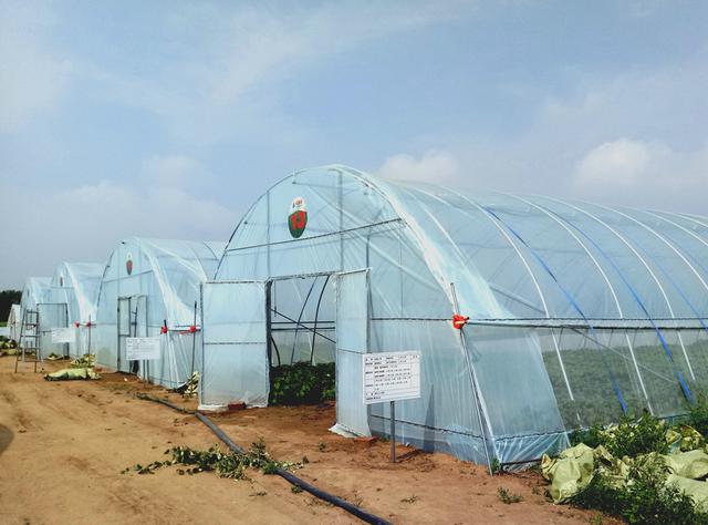 �Ї����W(w��ng)�y���읙�������_���R����N�����ܷNֲ