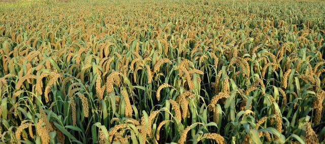 ��ע�ڿ��е��A�����Ƽ���Ҳ���������ܱO(ji��n)�؎����ľ����c��Ч