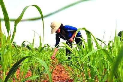 ��ע�ڿ��е��A�����Ƽ���Ҳ���������ܱO(ji��n)�؎����ľ����c��Ч