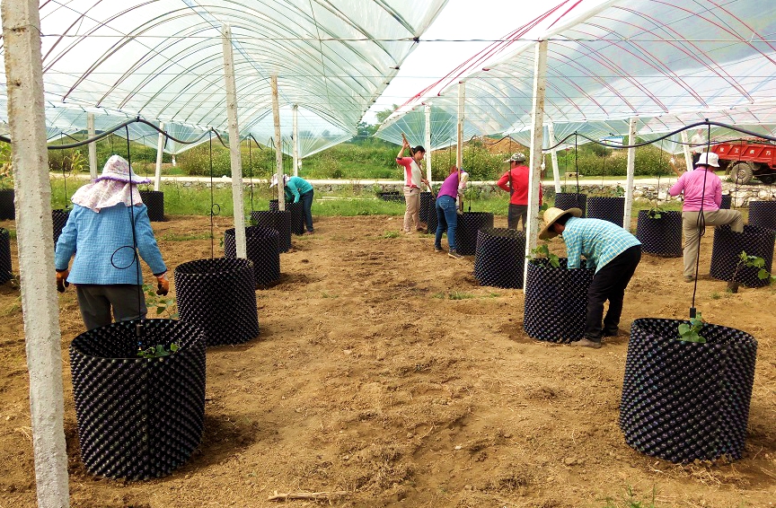 �����a�I(y��)��ؚʾ���������ǻ��r�I(y��)�˜ʻ����a