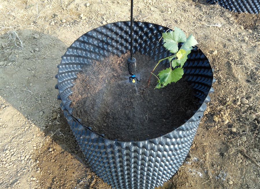 �����a�I(y��)��ؚʾ���������ǻ��r�I(y��)�˜ʻ����a