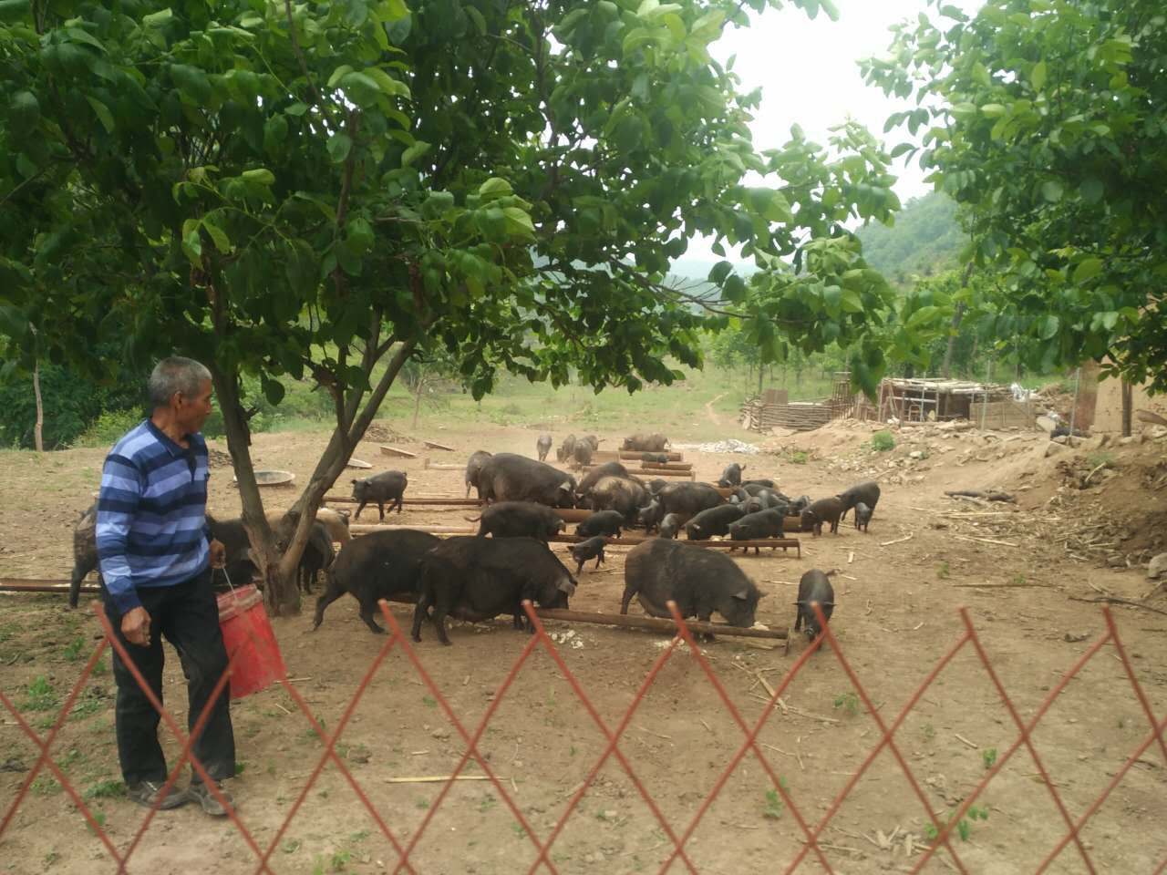 �ǻ��r(n��ng)�I(y��)����������������(sh��)�F(xi��n)����(zh��n)Óؚ