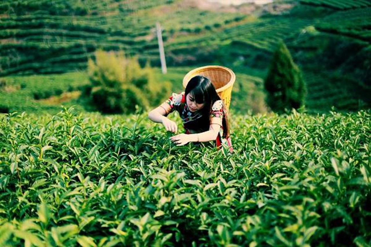 �ǻ��r(n��ng)�I(y��)����������������(sh��)�F(xi��n)����(zh��n)Óؚ