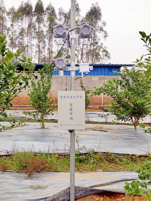 �Gˮ��ɽ���ǽ�ɽ�yɽ�����ǻ��r(n��ng)�I(y��)�������r(n��ng)�I(y��)��(li��n)�W(w��ng)���������B(t��i)�r(n��ng)�I(y��)�����o(h��)�W(w��ng)