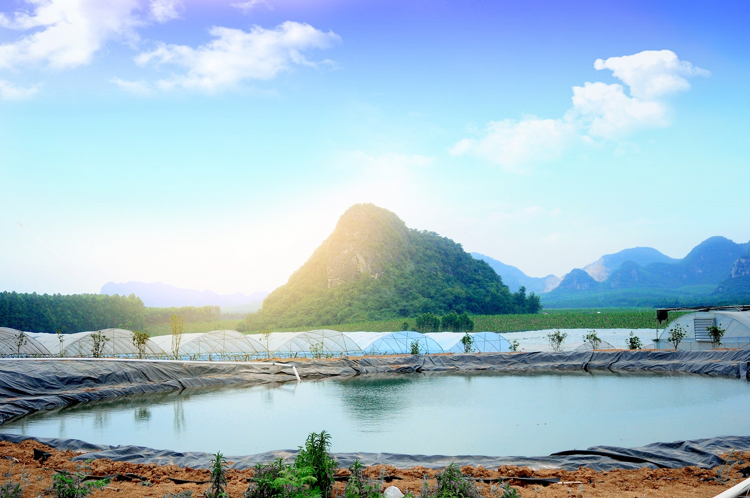 �읙�������a(ch��n)��(sh��)�(y��n)���؏ķN���N����Ʒ�|(zh��)ꖹ�õ���ϼ�����̳�