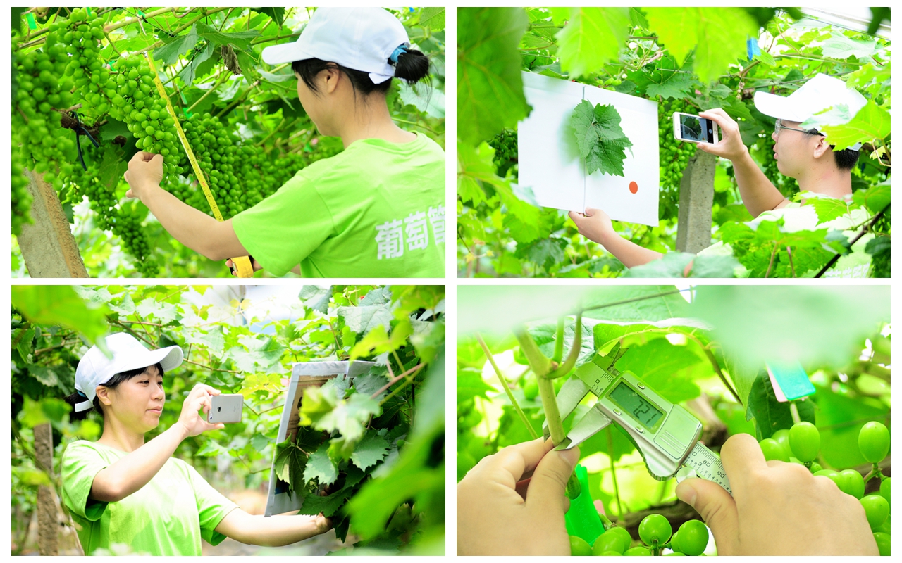 �읙�������a(ch��n)��(sh��)�(y��n)���؏ķN���N����Ʒ�|(zh��)ꖹ�õ���ϼ�����̳�