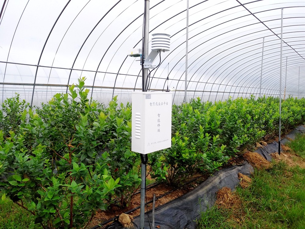 2017.08 ������(chu��ng)���Ŀ-�C�ɻ���