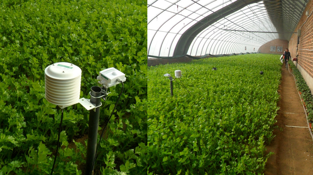 ���C��Ҵ�F(xi��n)���r(n��ng)�I(y��)ʾ���@���_���ǻ��r(n��ng)�I(y��)��(bi��o)��(zh��n)���Nֲ