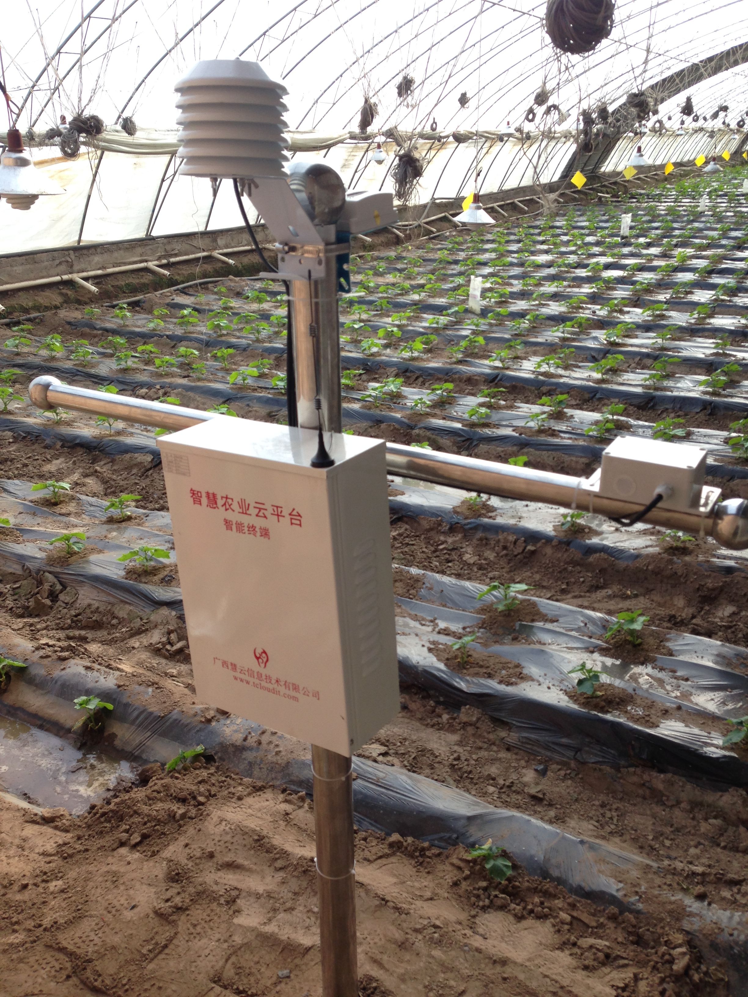 �ຣ��ͨ�h�ИI(y��)���F(xi��n)���r(n��ng)�I(y��)ʾ���@�������ǻ��r(n��ng)�I(y��)���F(xi��n)һ������