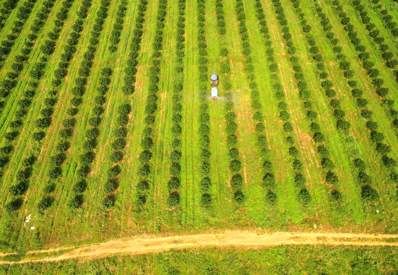 ʲô���ǻ��r(n��ng)�I(y��)��