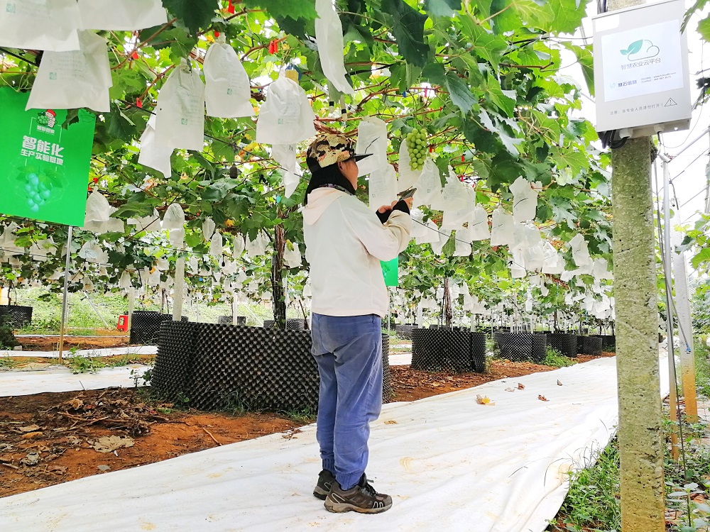 ʲô���ǻ��r(n��ng)�I(y��)�������읙(r��n)�����ķ���(w��)���سɹ�ʾ��