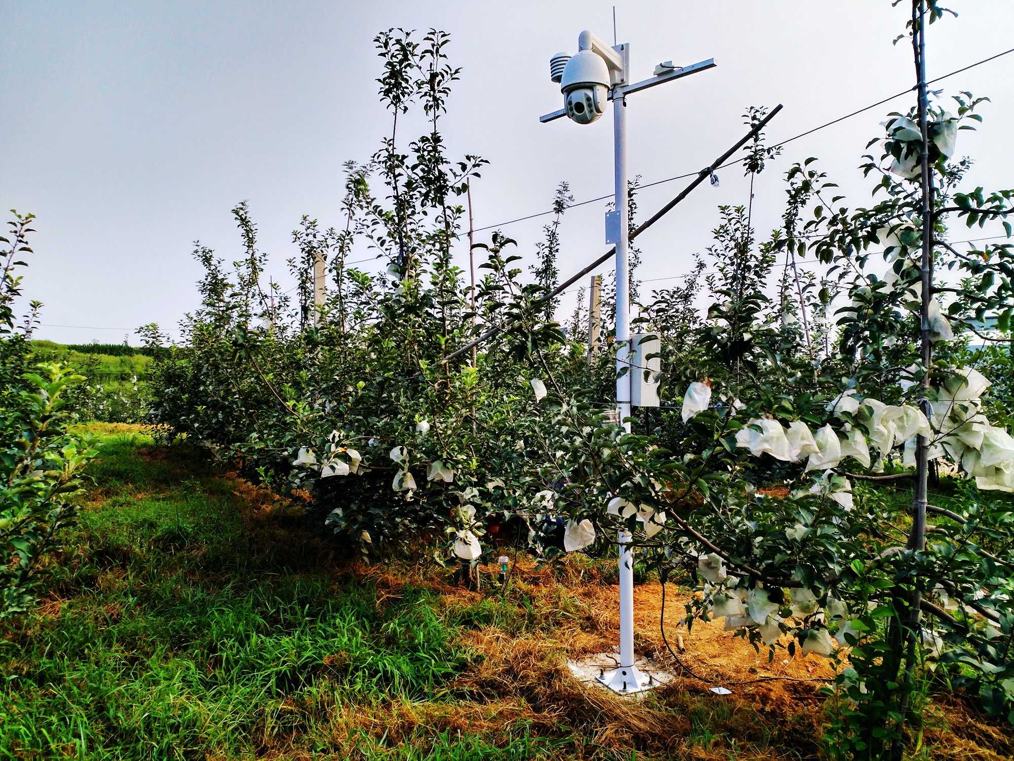 ��(y��u)��(li��n)���_�O��