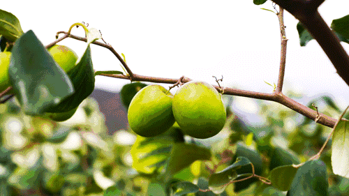 �@���B(y��ng)����ȫ�h����ġ�Ԫ�\���������������Ϙ˜ʻ��D���¸�֮·