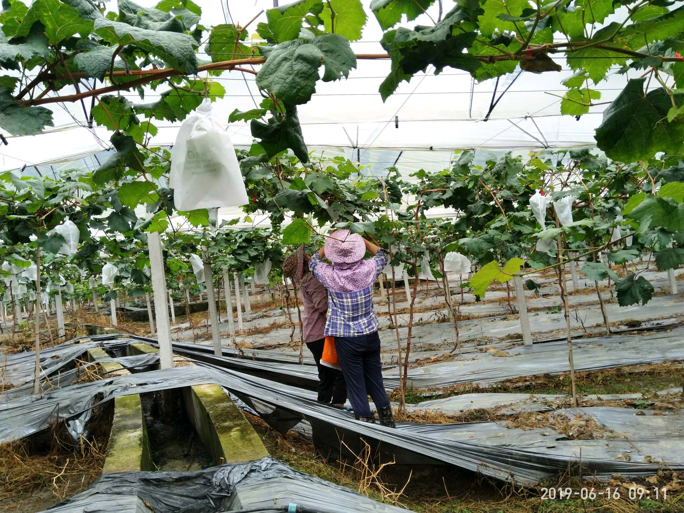 ���ݰ����(zh��n)���ш@�Ķ�λѲ�@���r��ӛ�