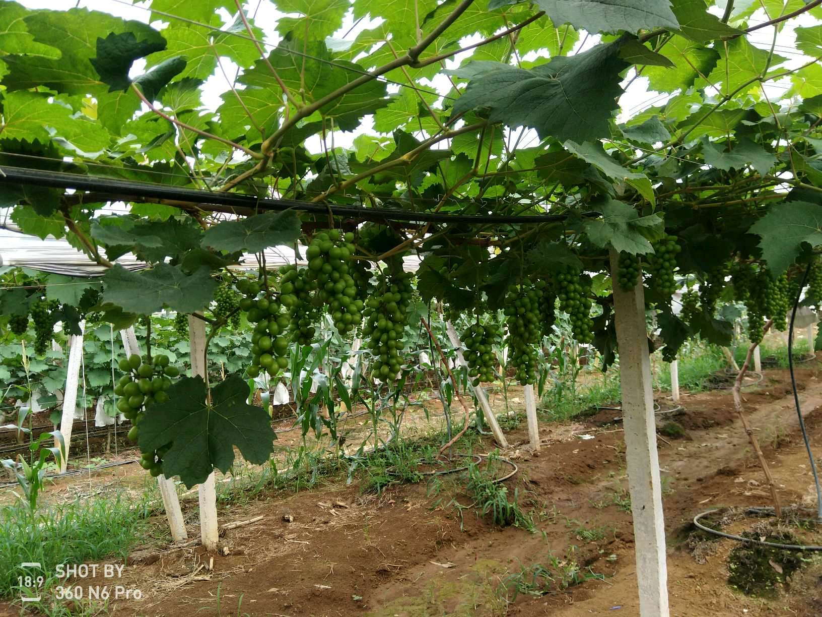 ���ݰ����(zh��n)���ш@�Ķ�λѲ�@���r��ӛ�