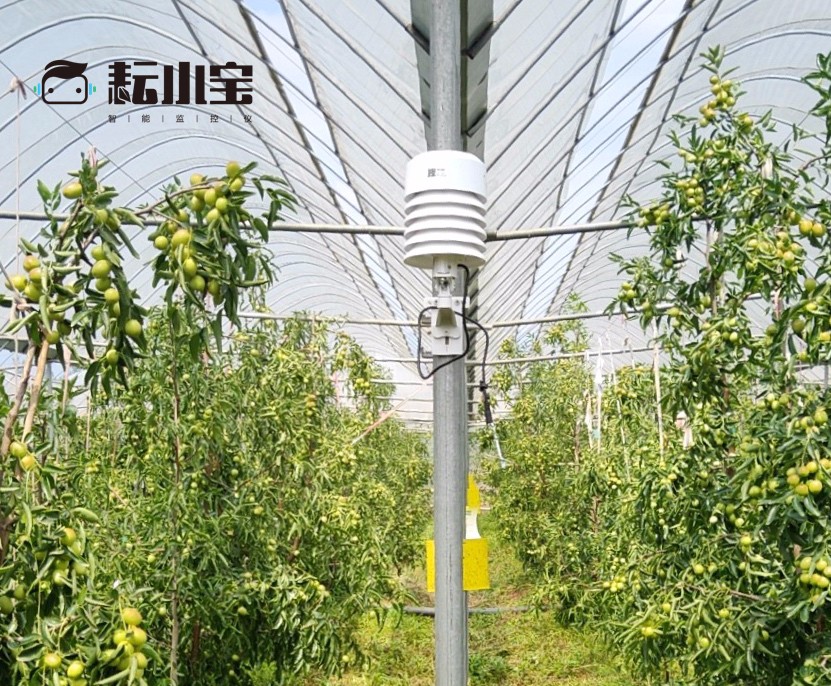 �읙�������ܱO(ji��n)�؃x����С������(w��)��(y��u)��(li��n)���������������أ��ԃr�ȳ������r(n��ng)��ֵ�Ó���