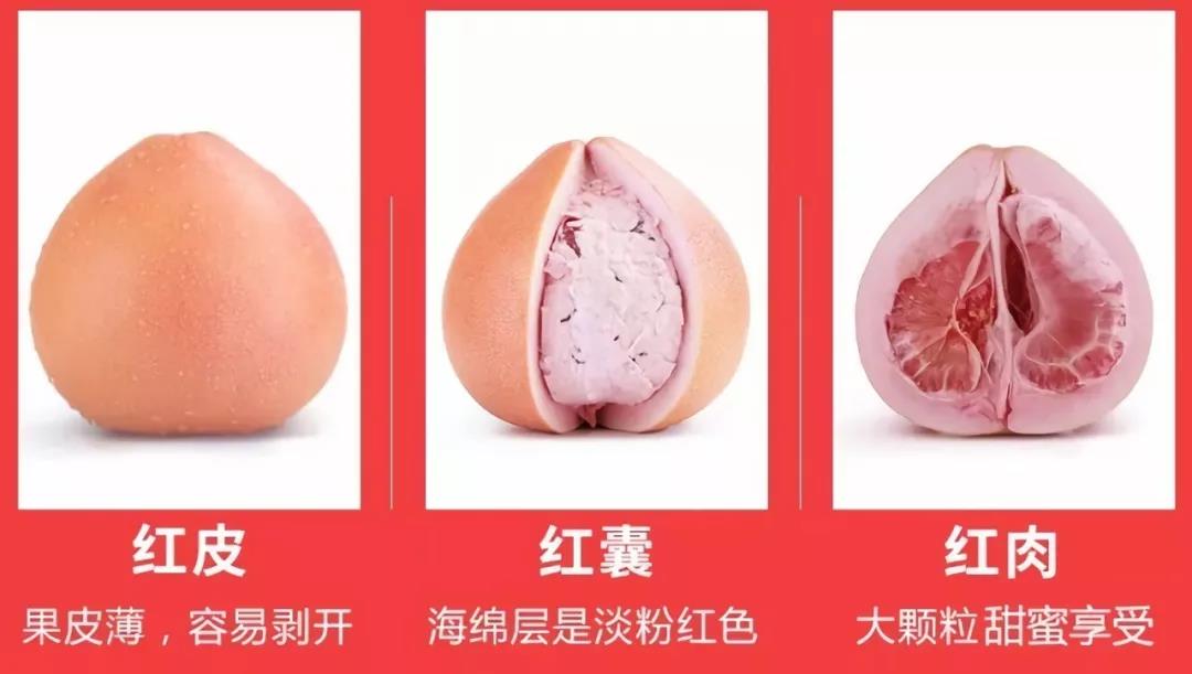 ��С������(w��)�ǻ۹��I(y��)���a(ch��n)���ƹ����ء����������t����������������ǰ�A(y��)��