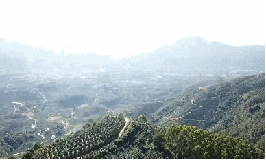 ��С������(w��)�ǻ۹��I(y��)���a(ch��n)���ƹ����ء����������t����������������ǰ�A(y��)��