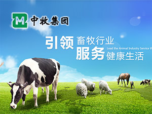 中牧集團(tuán)網(wǎng)站建設(shè) 中牧集團(tuán)網(wǎng)站建設(shè)