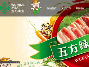 �������巽���޹�˾�W(w��ng)վ���O(sh��)