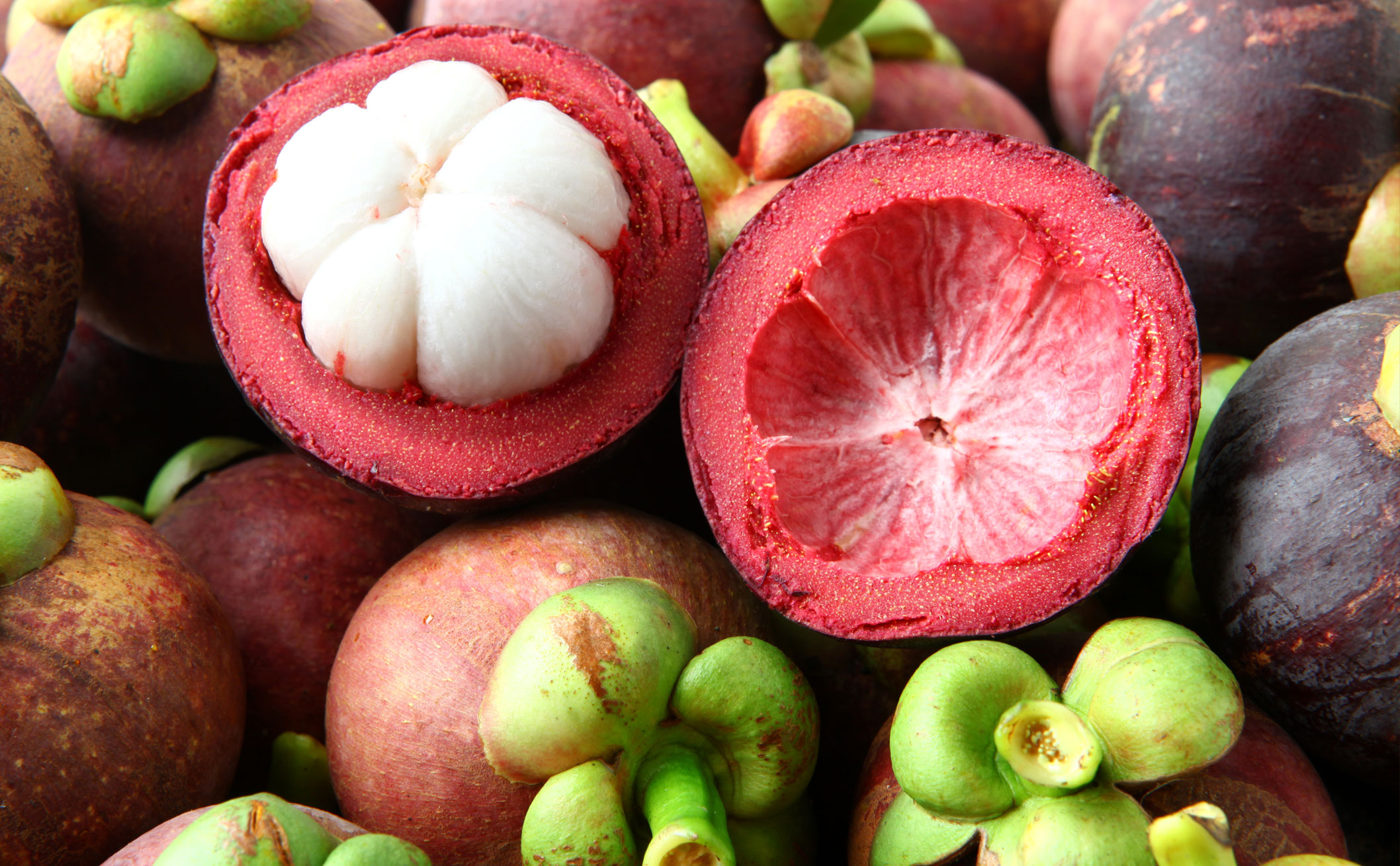 ȫ���˴�ί���D���^