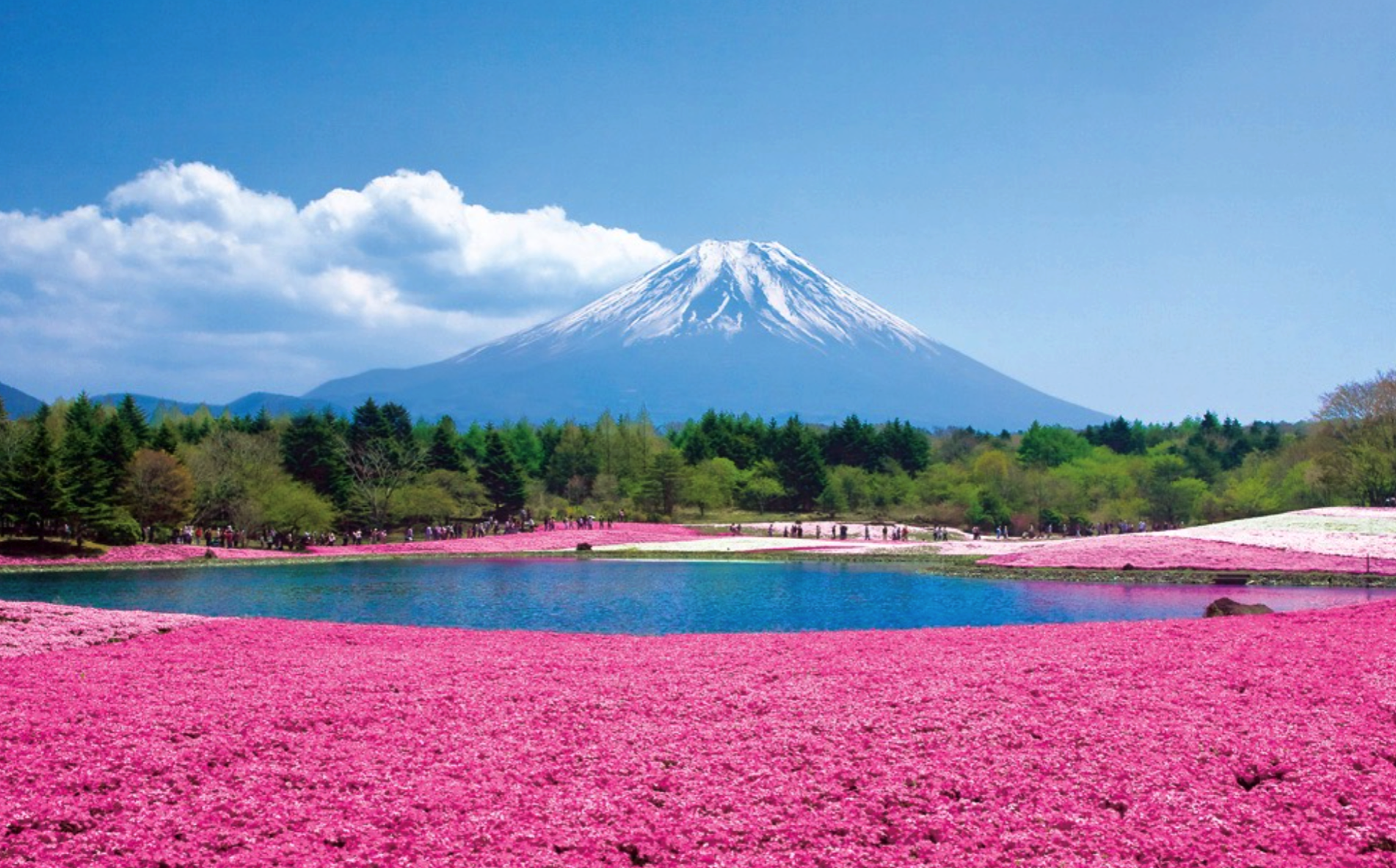 �U���O(sh��)Ӌ֮�W(w��ng)�j(lu��)�����O(sh��)Ӌ�ľ����δ��