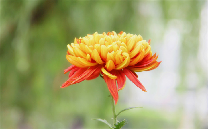 ���̽�����Wվ�Ñ��w�����Щ����Ӱ�1