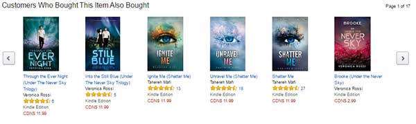 �ɳɹ��@ȡ�͑�(h��)����̾W(w��ng)վ�a(ch��n)Ʒ�(y��)�O(sh��)Ӌ(j��)-��һ����