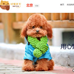 ������(y��u)�����¾W(w��ng)վ���O(sh��)