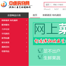 ����ُ��W(w��ng)�W(w��ng)վ���O(sh��)